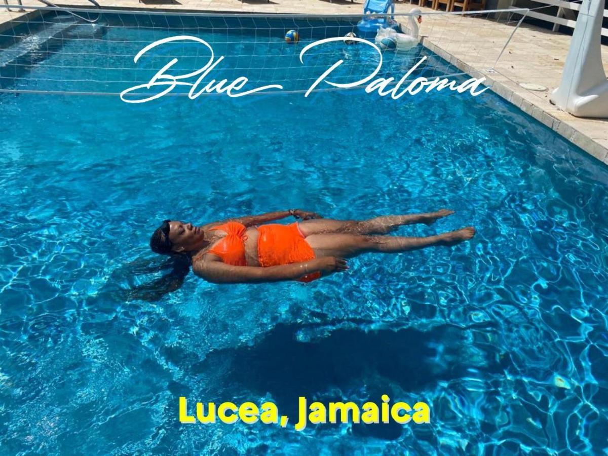Blue Paloma Bed & Breakfast Lucea Exterior photo