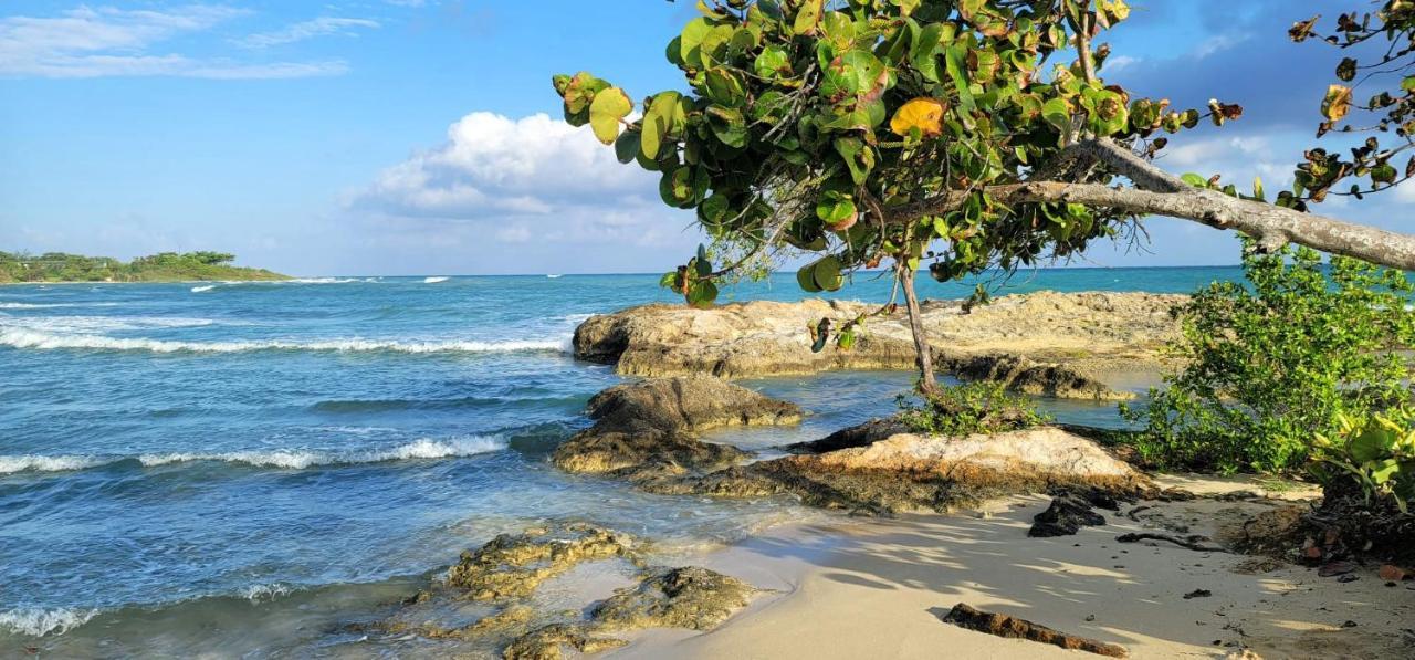 Blue Paloma Bed & Breakfast Lucea Exterior photo